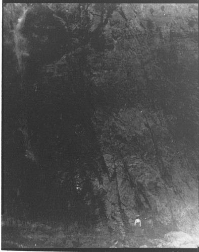 A woman standing by Mill Creek Falls