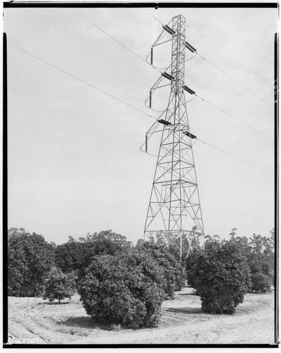 Chino-Barre Transmission Line