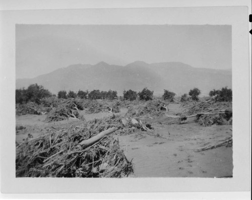 Saint Francis Dam Disaster