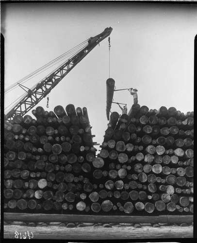 Pole storage yard