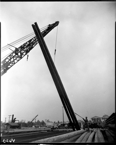 Crane lowering treated poles at the pole yard