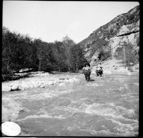 People riding horses in Santa Ana River Canyon along the transmission line