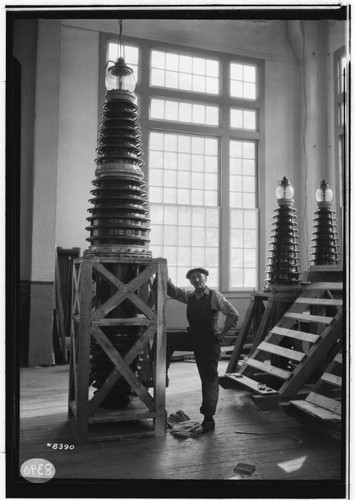 Man standing by new 220kV bushing