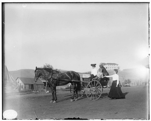 Two women and two young boys on a horse buggy near residences