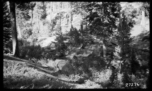 Big Creek, Fish Valley