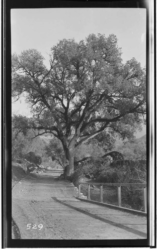 View of the bridge over Marble Fork from the Kaweah road