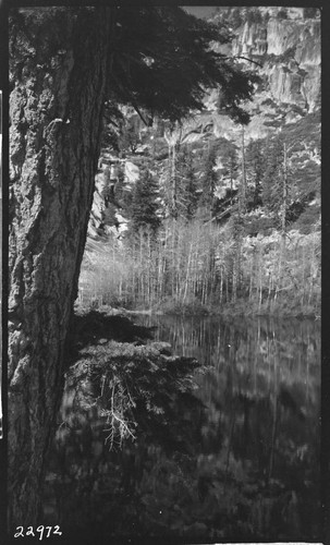 Big Creek Scenery