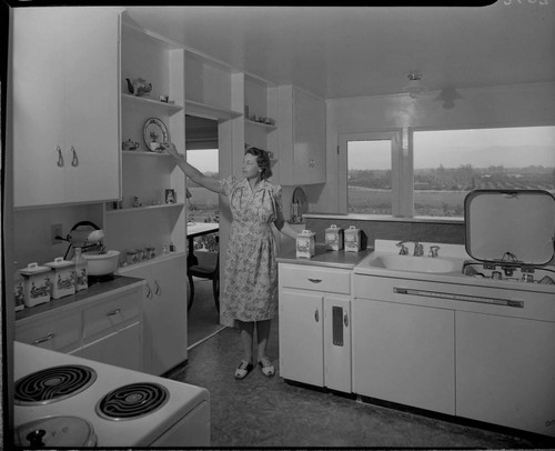 Domestic electric kitchen