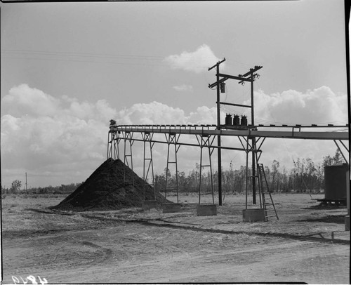 Conveyor used to pile material