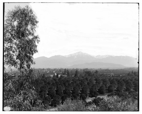 View of mountains from Smiley Heights