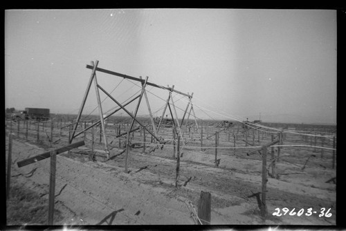 Magunden-Mesa Transmission Line