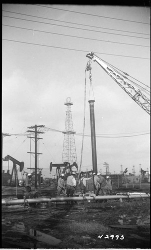 Long Beach Steam Station - Plant #2 - Experimental well points