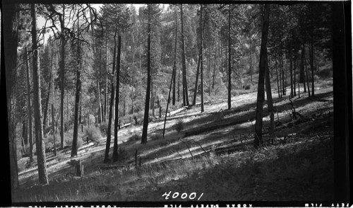 Big Creek, Mammoth Pool