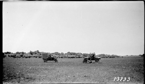 Big Creek, Herminghaus Ranch