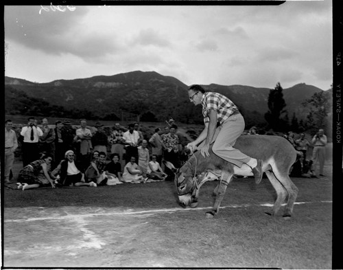 Man being thrown off a donkey at a picnic