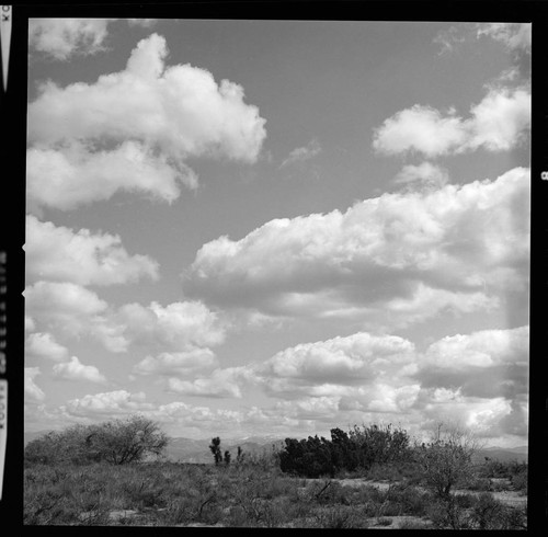 Bishop & Hoover tower line