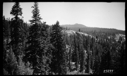 Big Creek, Fish Valley