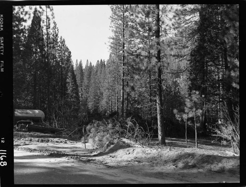 Big Creek - Mammoth Pool - Clearing for Chiquito Creek Crossing