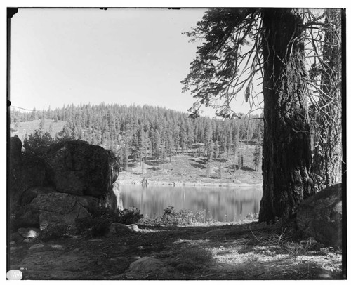 Big Creek Huntington Lake Dams