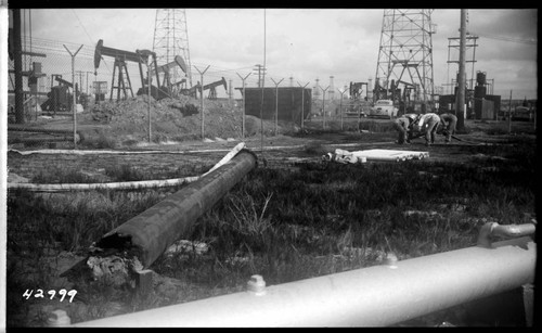 Long Beach Steam Station - Plant #2 - Experimental well points