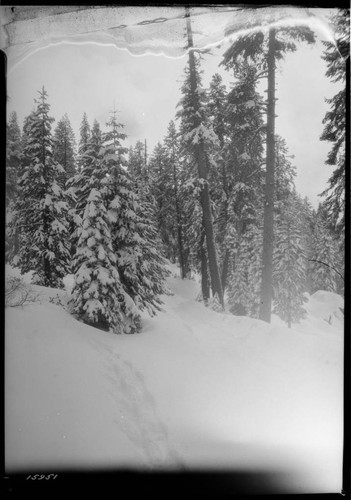 Big Creek after snow storm