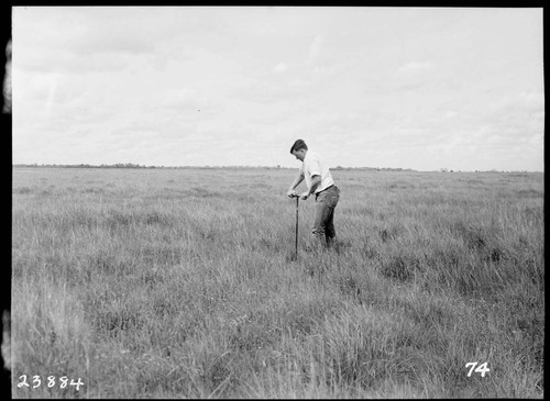 Big Creek, Herminghaus Ranch