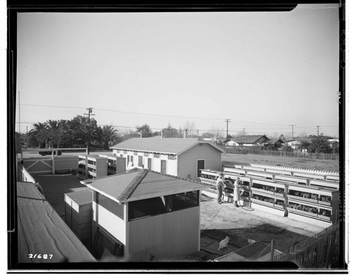 Poultry Book - Busse Ranch