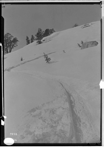 Big Creek, Florence Lake Dam - Sled transportation track along road at higher elevation near Kaiser Pass