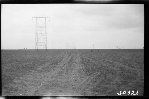 Vincent Transmission Line - South side, Tower 13-3