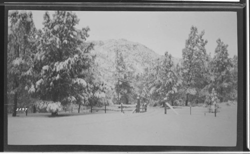 Kern River No. 3 - About Camp