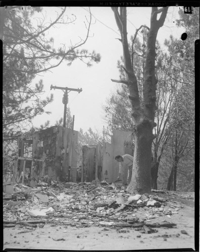 San Bernardino wildfire in 1956