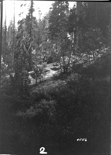 Big Creek, Shaver Lake Dam - Shaver Project