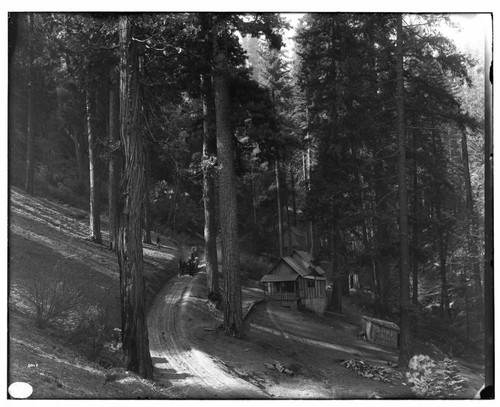 Big Creek, Shaver Lake Dam