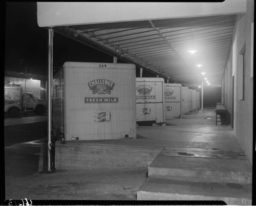 Challenge milk trucks lined up at loading dock