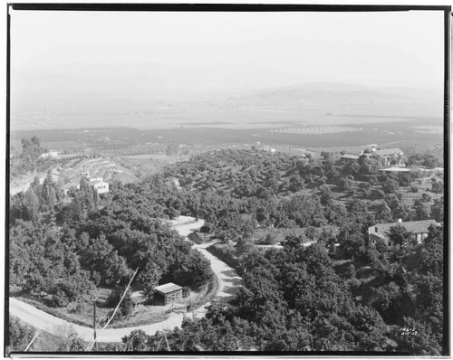 View from top of Turnbull Canyon