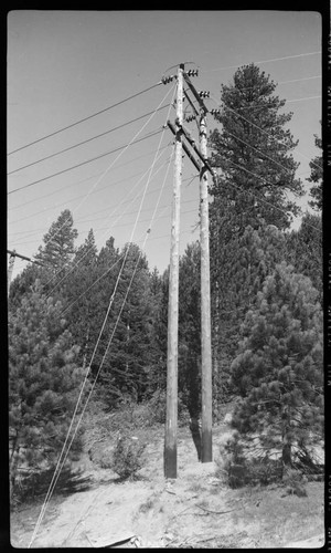 Distribution line through forest