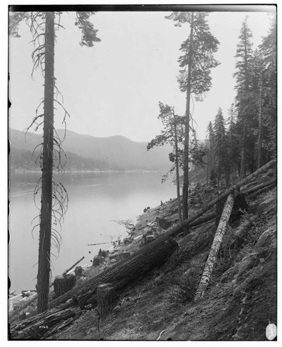 Big Creek Huntington Lake Dams