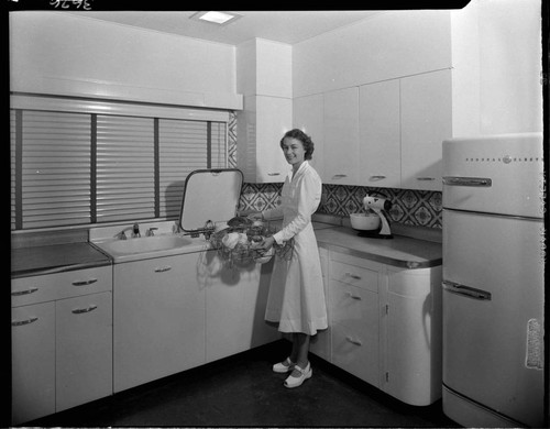 Woman using electric dishwasher