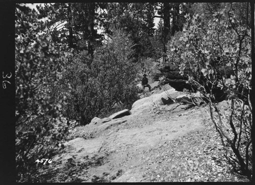 Big Creek, Shaver Lake Dam - Shaver Project