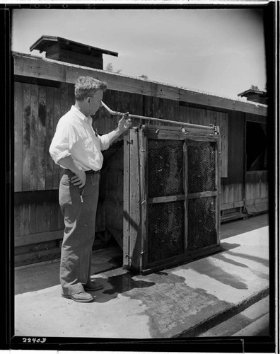 Fontana Farms, Fontana