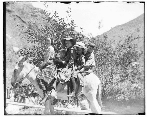 The children of Mill Creek's flume tender enjoy a ride on a gentle donkey near Mill Creek #3 Hydro Plant