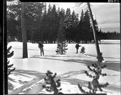 Big Creek snow survey