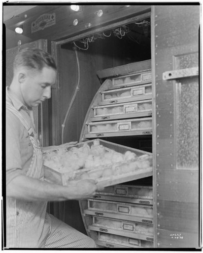 P2 - Poultry - George Richardson Jr. Hatchery