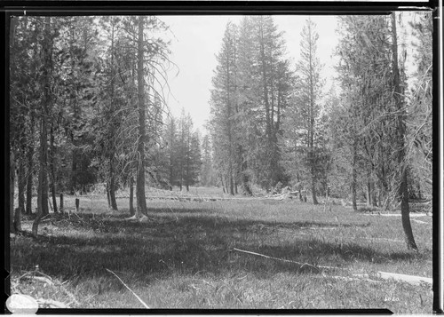 Big Creek Scenery - Shaver Lake Country