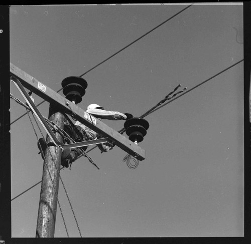 Distribution line construction