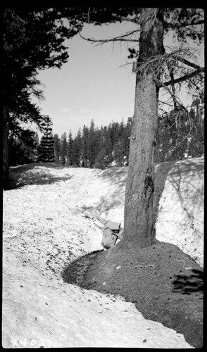 Big Creek, Florence Lake Dam