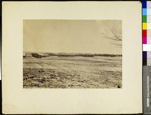 Park of wagons, Army of Potomac, near Falmouth, 1863