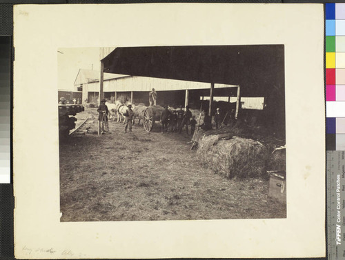 Hay sheds, Alexandria, Va