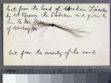 Lock of Abraham Lincoln's hair, 1865