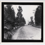 Newly graded Bayview Avenue between East 28th and Elliot Streets in the Ardsley Heights tract, Highland district of Oakland, California